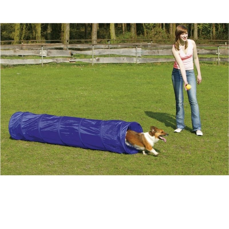 Fun game for puppy 2m