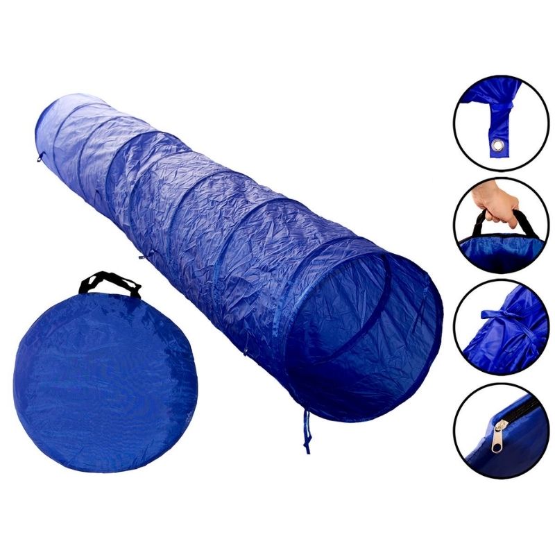 Fun game for puppy 2m